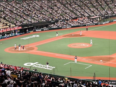 野球観戦