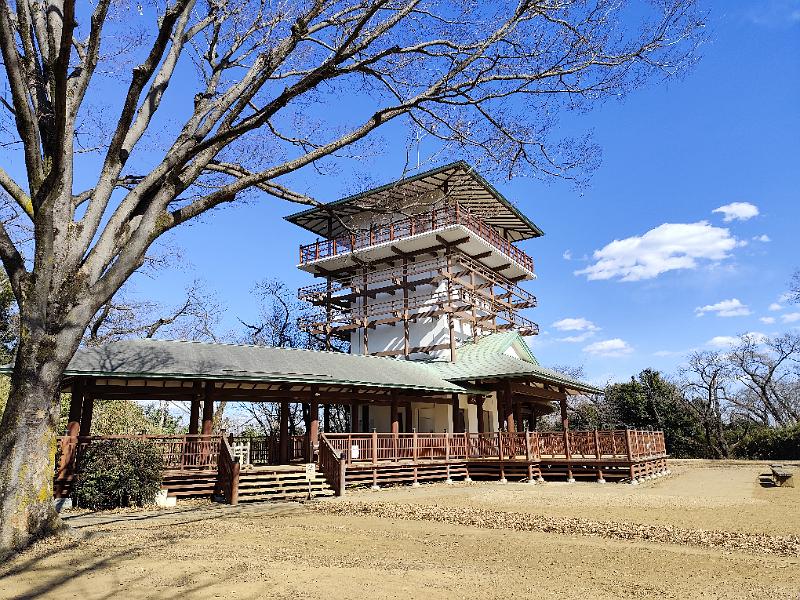 矢野口～登戸までのウォーキング