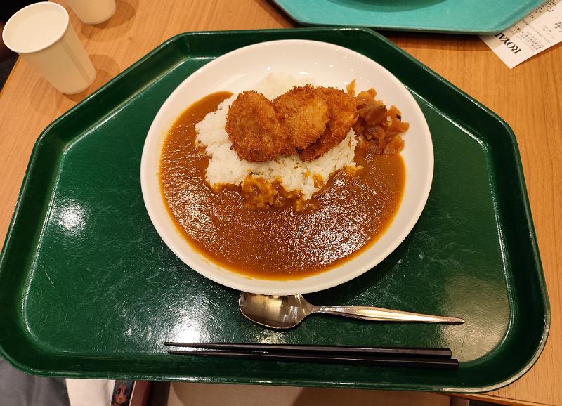 IMG_20260328_125733.jpg - 昼食に食べたヒレカツカレー