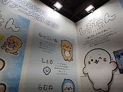 IMG_20260328_115841